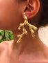 Nature Earrings